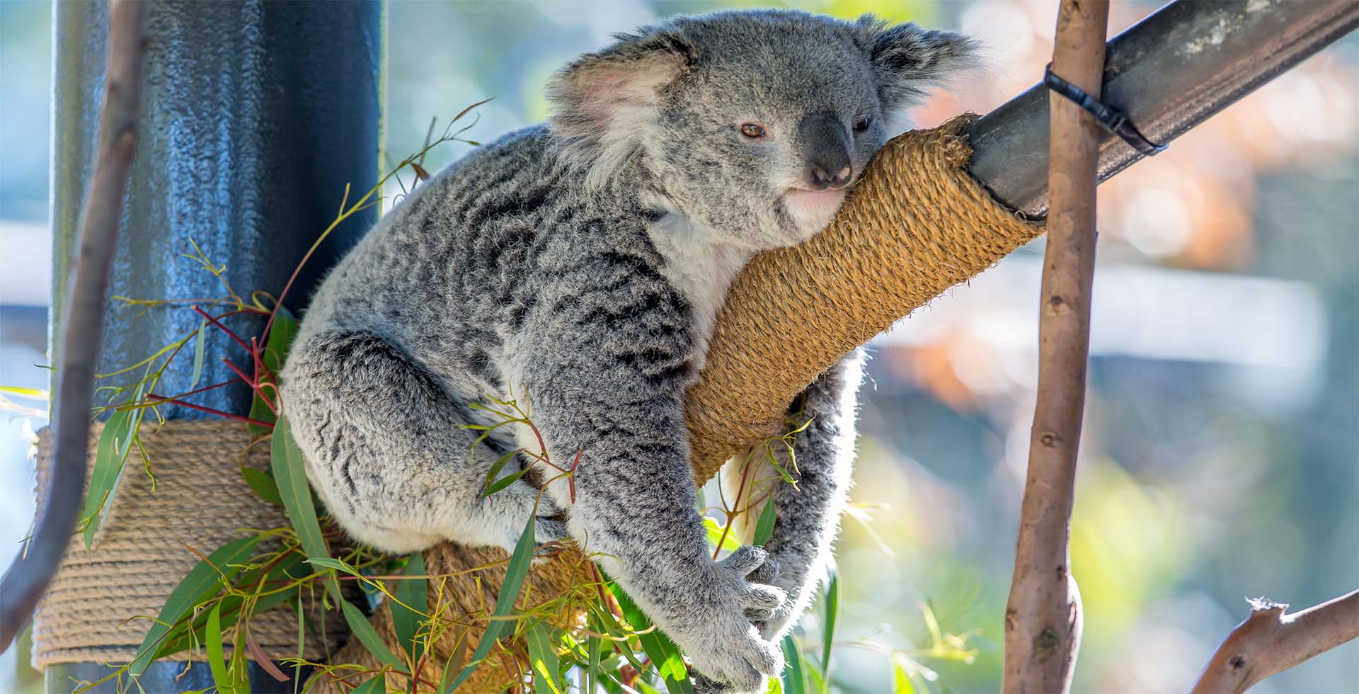 Australia Attractions